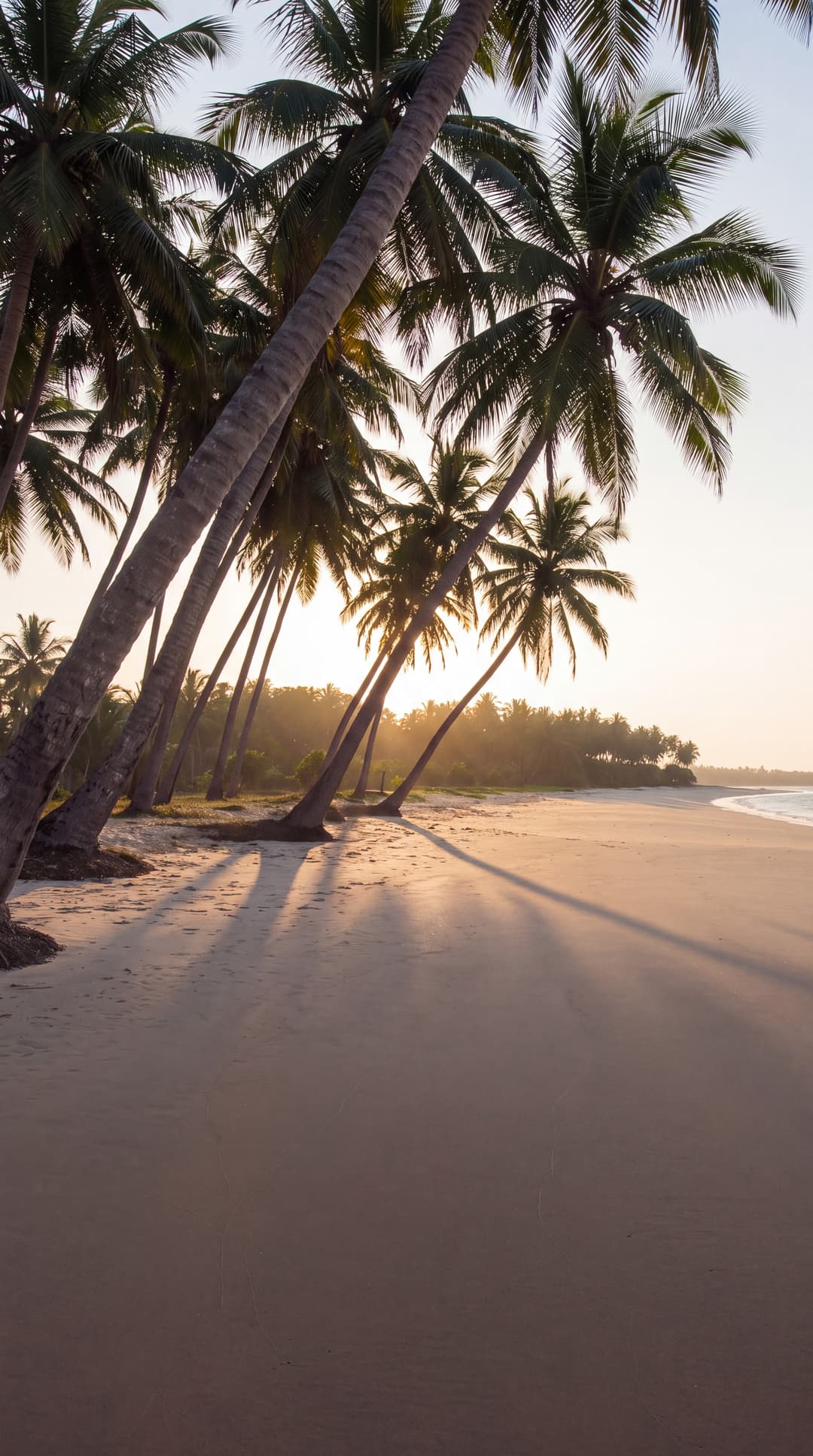 The southern coast of Sri Lanka, two shores in season