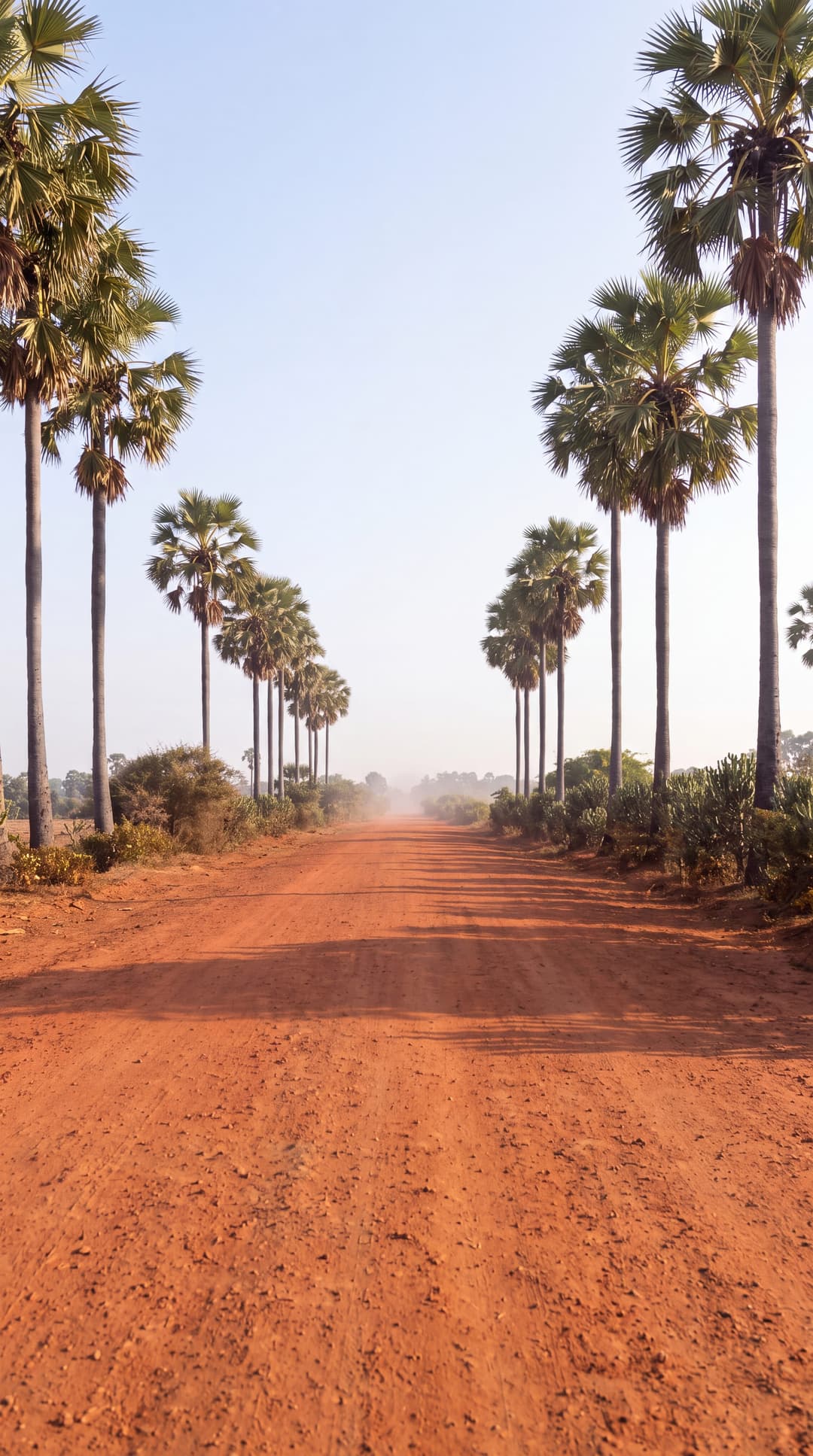 Notes from Jaffna.