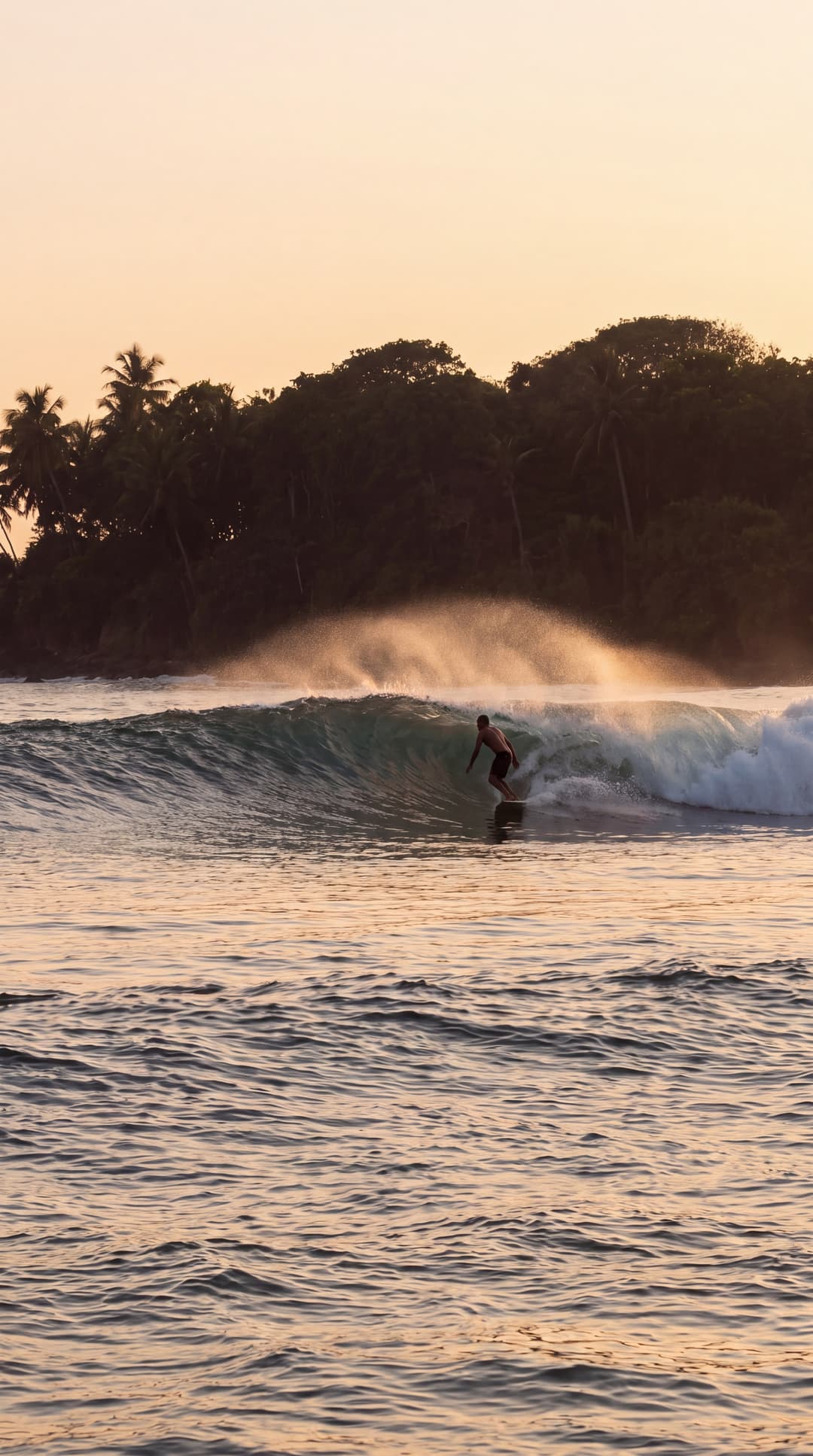 Surf, Two coasts, waves all year